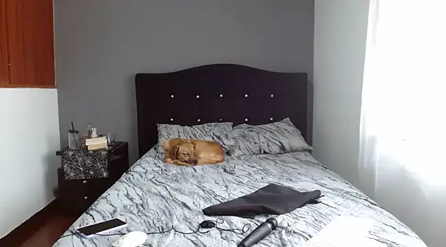 Snapshot of Emilia_1995 chatting on February 2025 12:50:02 PM Emilia 1995 online show from February 2025 12:50:02 PM