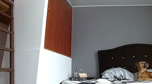 Snapshot of Emilia_1995 chatting on March 2025 06:23:02 PM Emilia 1995 online show from March 2025 06:23:02 PM