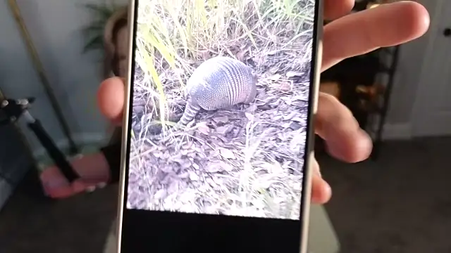 Snapshot of rodeobrii chatting on November 2025 03:34:01 AM rodeobrii online show from November 2025 03:34:01 AM