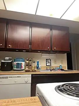 Snapshot of DhaTruth chatting on March 2025 03:29:02 PM DhaTruth online show from March 2025 03:29:02 PM