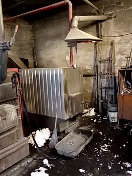 MityaXLoves online show from February 2026 06:17:01 AM