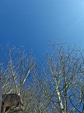 LydiaMaus96 online show from April 2026 01:39:02 PM