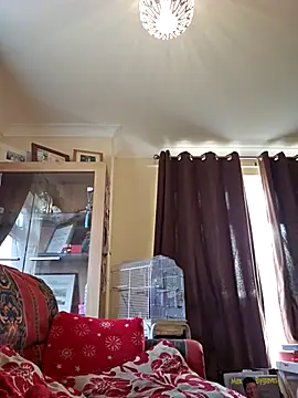 Snapshot of meateater1 chatting on November 2025 10:48:02 AM meateater1 online show from November 2025 10:48:02 AM