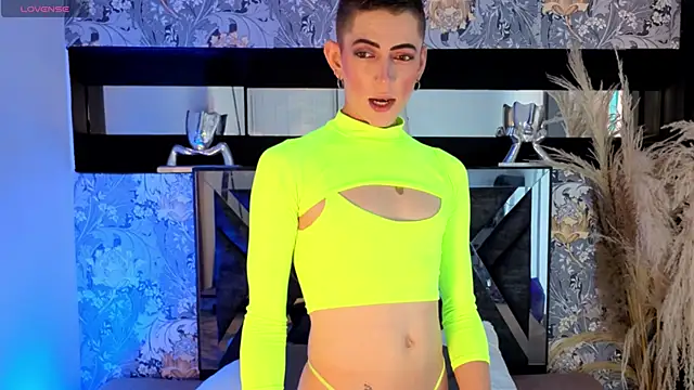 dominic thailor online show from May 2026 03:20:02 PM
