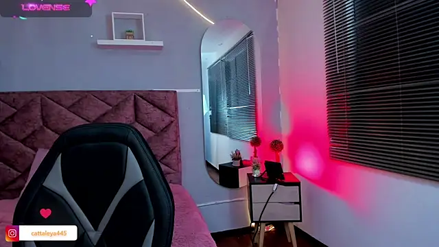 Snapshot of cattaleya___ chatting on January 2025 04:06:01 AM cattaleya online show from January 2025 04:06:01 AM