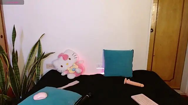 Snapshot of kittycatw chatting on December 2025 09:21:02 PM kittycatw online show from December 2025 09:21:02 PM