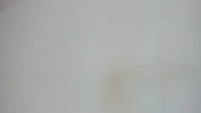 nami sam01 online show from January 2025 11:56:02 AM