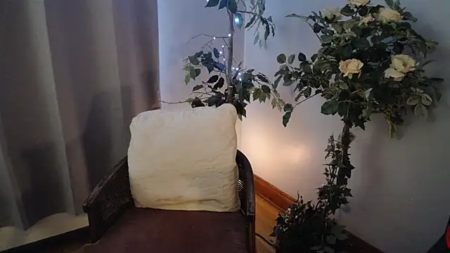 Snapshot of CanadianBeaver6969 chatting on January 2025 02:22:01 PM CanadianBeaver6969 online show from January 2025 02:22:01 PM