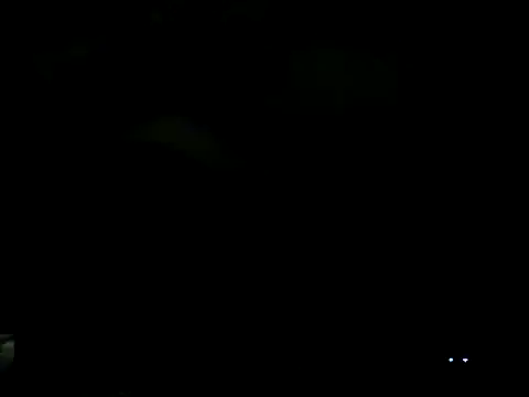 Snapshot of Everydayonli chatting on February 2025 12:54:01 AM Everydayonli online show from February 2025 12:54:01 AM