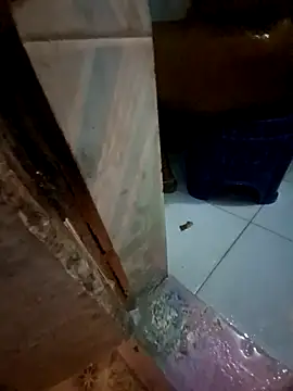 Snapshot of Rojatelugu89 chatting on February 2026 05:06:02 AM Rojatelugu89 online show from February 2026 05:06:02 AM