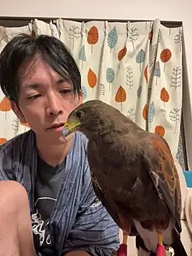 Katakuriko-Denpun online show from July 2026 01:48:01 PM