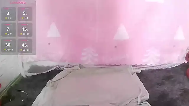 Stumpy Governor online show from February 2025 06:01:02 AM