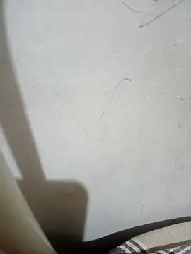 Raj  880 online show from February 2026 06:49:02 PM