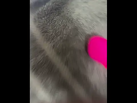 Snapshot of boypussyfist chatting on February 2026 05:47:01 AM boypussyfist online show from February 2026 05:47:01 AM