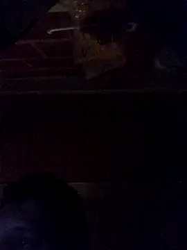 Snapshot of Elvergon3456 chatting on October 2025 04:49:01 AM Elvergon3456 online show from October 2025 04:49:01 AM