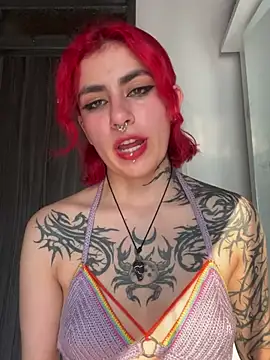 Snapshot of _Artemisa_X chatting on January 2025 09:41:01 PM Artemisa X online show from January 2025 09:41:01 PM