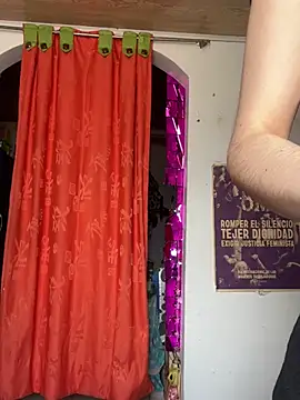 Snapshot of _Artemisa_X chatting on February 2025 07:30:01 PM Artemisa X online show from February 2025 07:30:01 PM