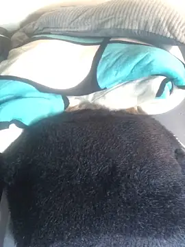 Snapshot of sexy_barbie254 chatting on March 2025 11:53:01 PM sexy barbie254 online show from March 2025 11:53:01 PM