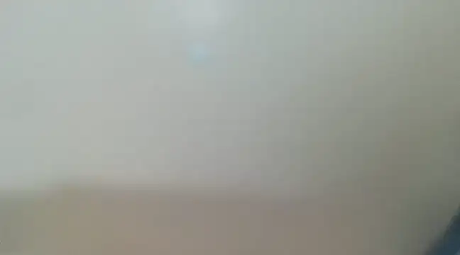 Snapshot of tropicalesen chatting on March 2025 02:19:02 PM tropicalesen online show from March 2025 02:19:02 PM