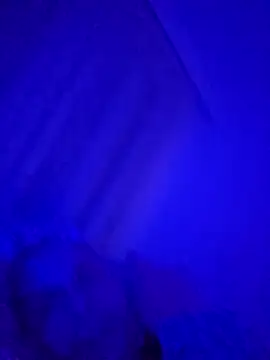 Snapshot of denisxlRo chatting on March 2025 08:11:01 PM denisxlRo online show from March 2025 08:11:01 PM