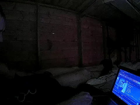 Snapshot of pervy_devil chatting on February 2025 12:51:02 PM pervy devil online show from February 2025 12:51:02 PM