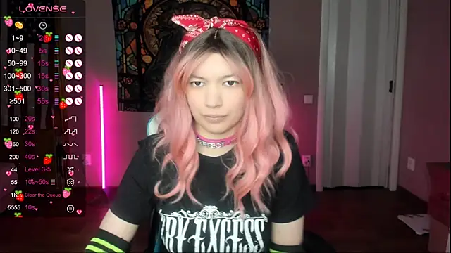 Project hisoka online show from January 2026 05:27:02 PM