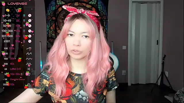 Project hisoka online show from February 2026 08:15:02 AM