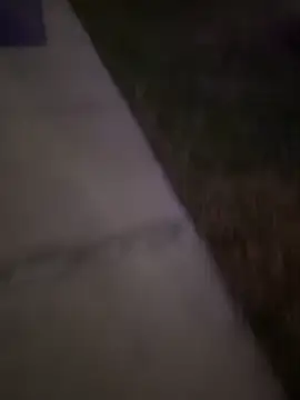 Snapshot of MynameisPaco chatting on December 2025 11:23:01 PM MynameisPaco online show from December 2025 11:23:01 PM