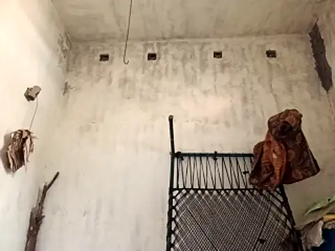 Yasha 14C Creator online show from May 2026 03:57:02 AM