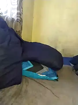 Stallion100 online show from January 2025 05:42:02 AM