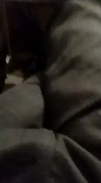 Snapshot of myhot1551 chatting on February 2025 04:25:01 AM myhot1551 online show from February 2025 04:25:01 AM