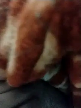 Snapshot of myhot1551 chatting on February 2025 06:43:02 PM myhot1551 online show from February 2025 06:43:02 PM