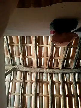 luissilva0071 online show from February 2026 12:25:01 PM