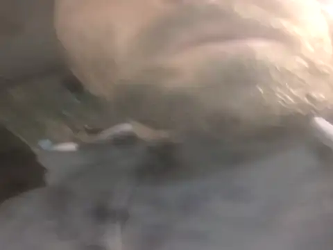 Snapshot of jwiththethickone413 chatting on November 2025 05:52:01 PM jwiththethickone413 online show from November 2025 05:52:01 PM