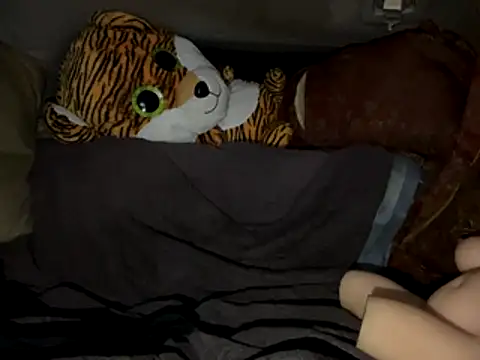 Snapshot of SlimeCrownzOut5 chatting on November 2025 04:18:01 AM SlimeCrownzOut5 online show from November 2025 04:18:01 AM