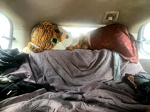 Snapshot of SlimeCrownzOut5 chatting on November 2025 06:01:02 PM SlimeCrownzOut5 online show from November 2025 06:01:02 PM