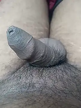 sat 1234 online show from January 2025 03:58:02 PM