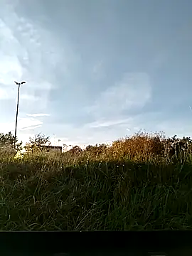 Snapshot of cuplubijoanna chatting on November 2025 03:01:02 PM cuplubijoanna online show from November 2025 03:01:02 PM