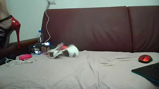 Snapshot of Danielasexy74 chatting on November 2025 04:38:02 PM Danielasexy74 online show from November 2025 04:38:02 PM