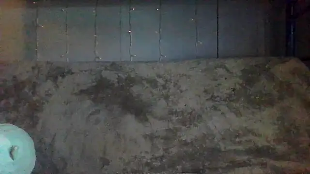 velvetta  online show from April 2026 06:24:02 PM