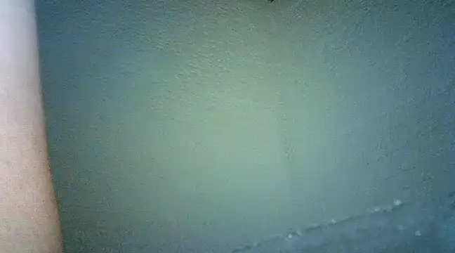 Snapshot of Bellabeltrann chatting on January 2025 09:47:01 AM Bellabeltrann online show from January 2025 09:47:01 AM