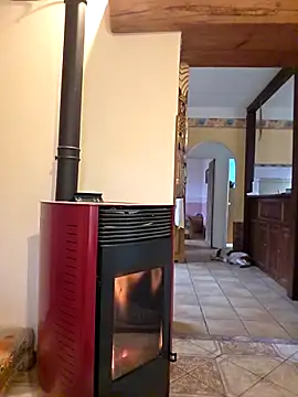 SpiceLea online show from March 2026 08:31:02 AM