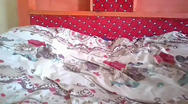 petitev online show from December 2024 07:05:01 AM