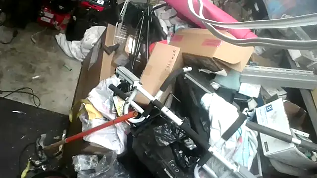 tongueispowerr6d9 online show from January 2025 05:42:02 AM