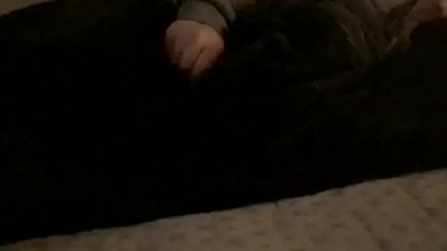 Rock Pierce online show from February 2026 01:23:02 PM