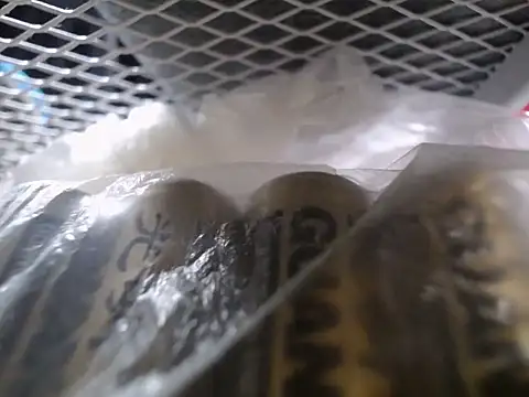 Lovensetest online show from September 2025 07:35:02 AM