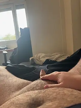 aquarium2345 online show from November 2025 03:25:02 PM