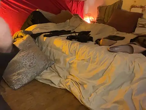 alexheels boots online show from February 2025 03:35:01 AM