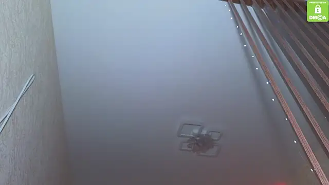 Katy perry  online show from November 2025 03:52:01 AM