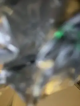 orient zob online show from January 2026 12:57:02 AM